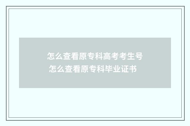 怎么查看原专科高考考生号 怎么查看原专科毕业证书