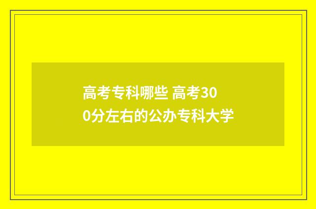 高考专科哪些 高考300分左右的公办专科大学