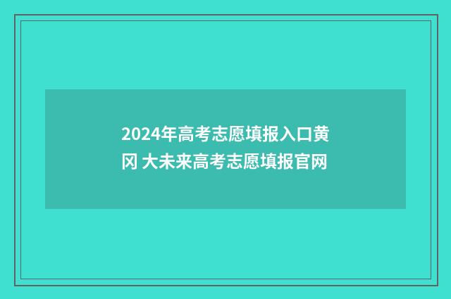 2024年高考志愿填报入口黄冈 大未来高考志愿填报官网