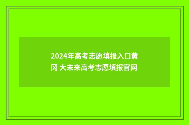 2024年高考志愿填报入口黄冈 大未来高考志愿填报官网