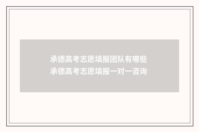承德高考志愿填报团队有哪些 承德高考志愿填报一对一咨询
