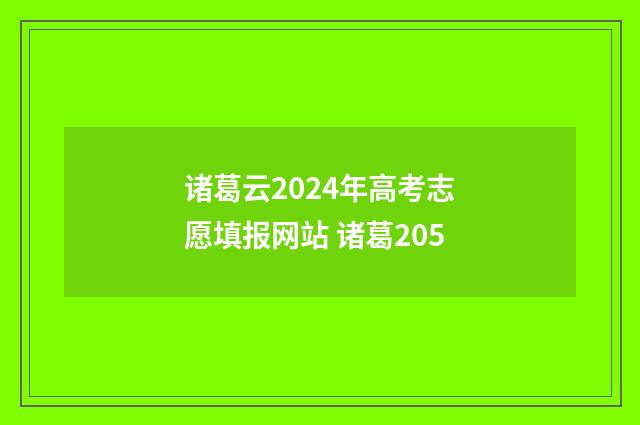 诸葛云2024年高考志愿填报网站 诸葛205