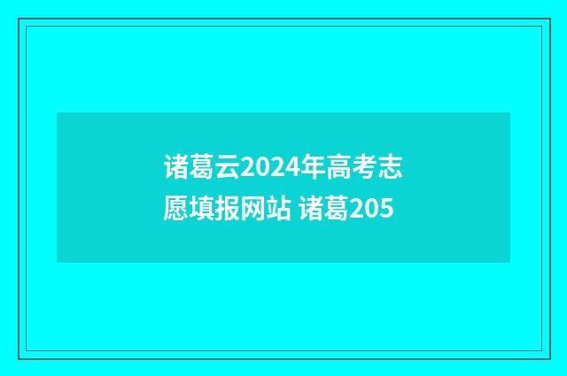 诸葛云2024年高考志愿填报网站 诸葛205