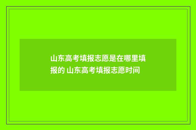 山东高考填报志愿是在哪里填报的 山东高考填报志愿时间