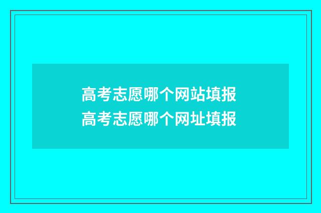 高考志愿哪个网站填报 高考志愿哪个网址填报