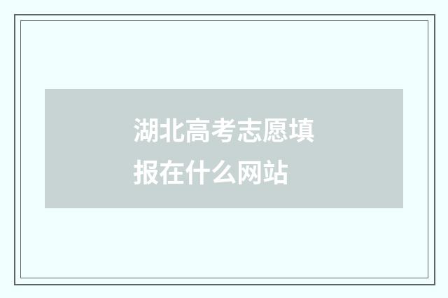 湖北高考志愿填报在什么网站