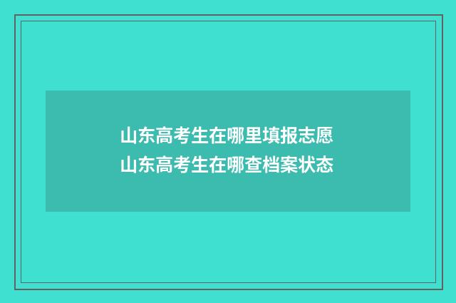 山东高考生在哪里填报志愿 山东高考生在哪查档案状态