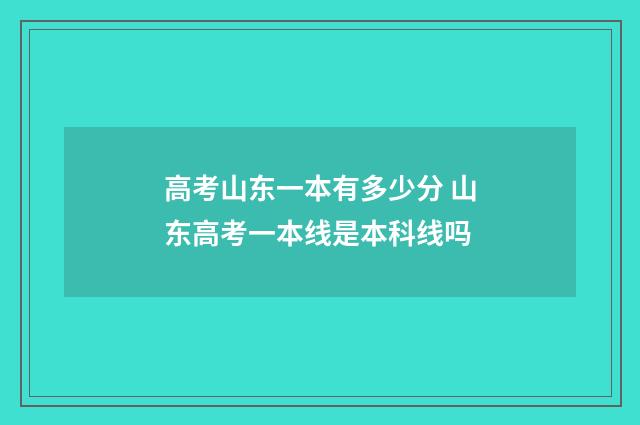 高考山东一本有多少分 山东高考一本线是本科线吗