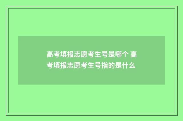 高考填报志愿考生号是哪个 高考填报志愿考生号指的是什么