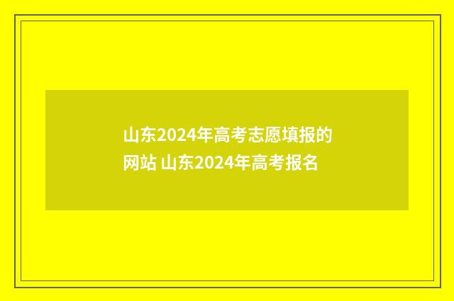 山东2024年高考志愿填报的网站 山东2024年高考报名