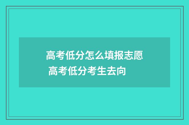 高考低分怎么填报志愿 高考低分考生去向