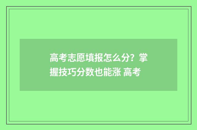 高考志愿填报怎么分？掌握技巧分数也能涨 高考