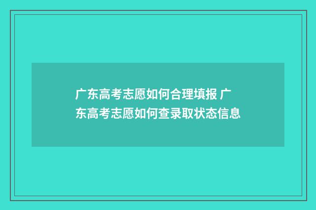 广东高考志愿如何合理填报 广东高考志愿如何查录取状态信息