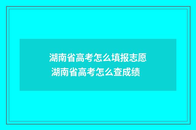 湖南省高考怎么填报志愿 湖南省高考怎么查成绩