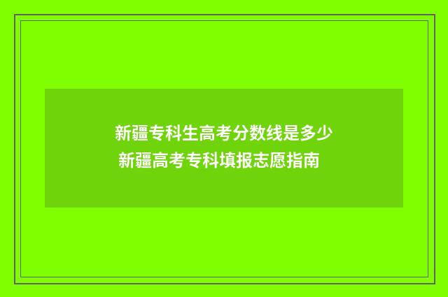 新疆专科生高考分数线是多少 新疆高考专科填报志愿指南