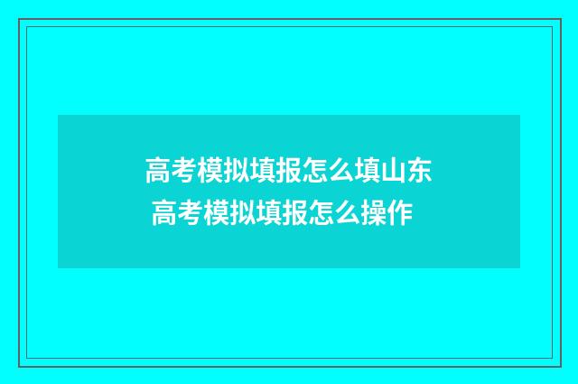 高考模拟填报怎么填山东 高考模拟填报怎么操作