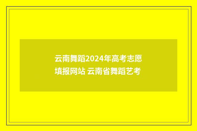 云南舞蹈2024年高考志愿填报网站 云南省舞蹈艺考