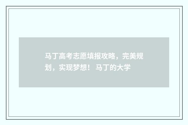 马丁高考志愿填报攻略，完美规划，实现梦想！ 马丁的大学