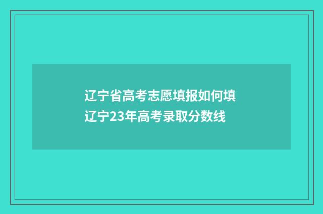 辽宁省高考志愿填报如何填 辽宁23年高考录取分数线