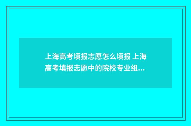 上海高考填报志愿怎么填报 上海高考填报志愿中的院校专业组是指