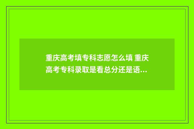 重庆高考填专科志愿怎么填 重庆高考专科录取是看总分还是语数英