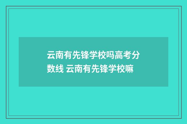 云南有先锋学校吗高考分数线 云南有先锋学校嘛