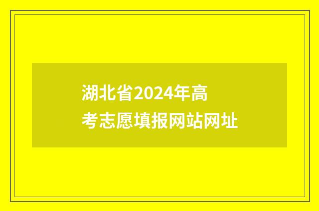 湖北省2024年高考志愿填报网站网址