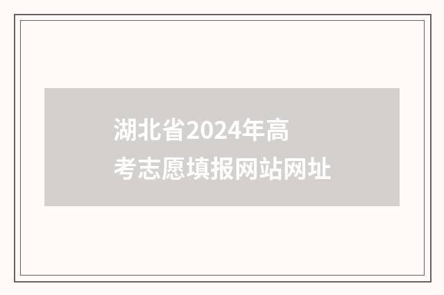 湖北省2024年高考志愿填报网站网址