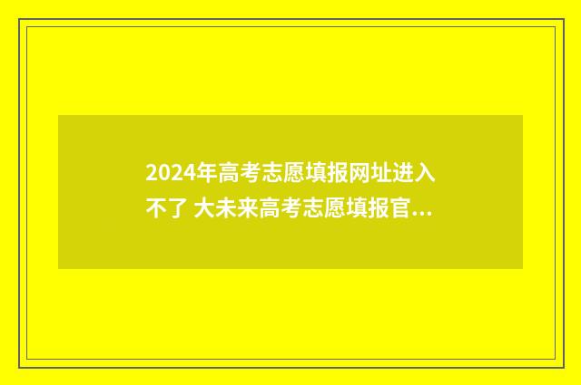 2024年高考志愿填报网址进入不了 大未来高考志愿填报官网