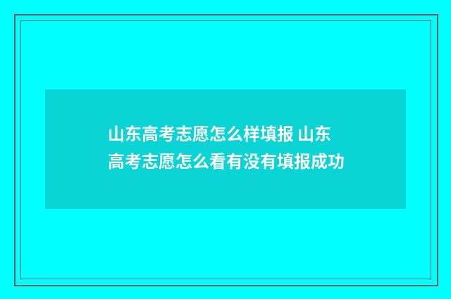 山东高考志愿怎么样填报 山东高考志愿怎么看有没有填报成功