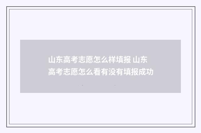 山东高考志愿怎么样填报 山东高考志愿怎么看有没有填报成功