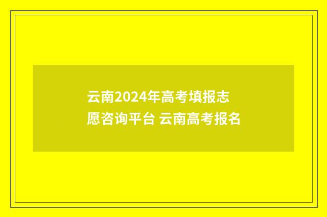 云南2024年高考填报志愿咨询平台 云南高考报名