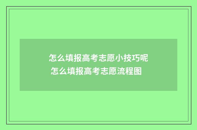 怎么填报高考志愿小技巧呢 怎么填报高考志愿流程图