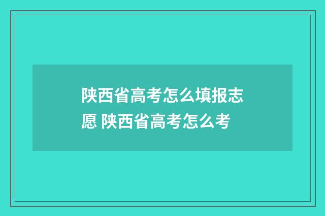 陕西省高考怎么填报志愿 陕西省高考怎么考