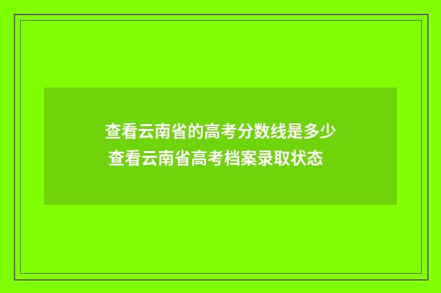 查看云南省的高考分数线是多少 查看云南省高考档案录取状态