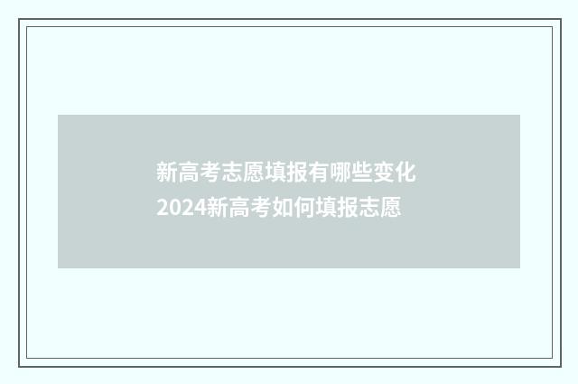 新高考志愿填报有哪些变化 2024新高考如何填报志愿