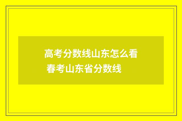高考分数线山东怎么看 春考山东省分数线