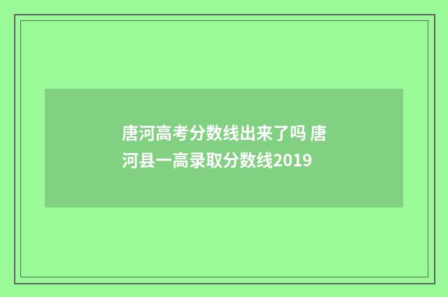 唐河高考分数线出来了吗 唐河县一高录取分数线2019