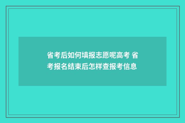省考后如何填报志愿呢高考 省考报名结束后怎样查报考信息