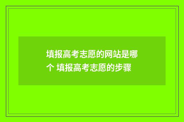 填报高考志愿的网站是哪个 填报高考志愿的步骤