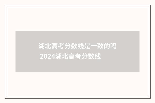 湖北高考分数线是一致的吗 2024湖北高考分数线