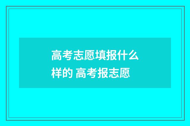 高考志愿填报什么样的 高考报志愿