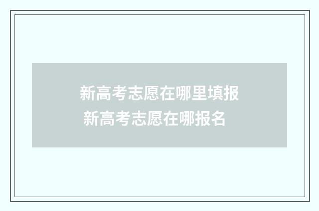 新高考志愿在哪里填报 新高考志愿在哪报名
