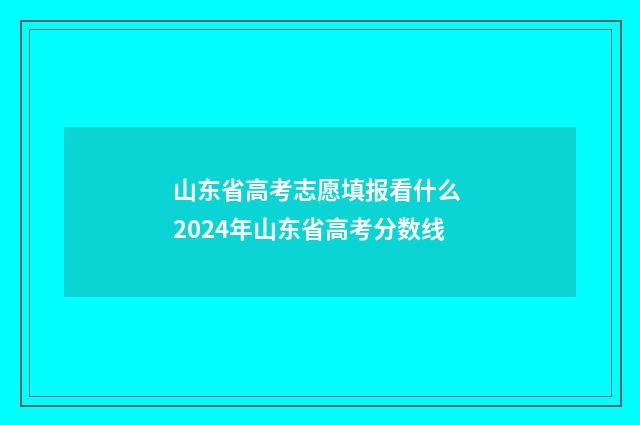 山东省高考志愿填报看什么 2024年山东省高考分数线