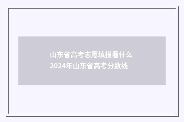 山东省高考志愿填报看什么 2024年山东省高考分数线