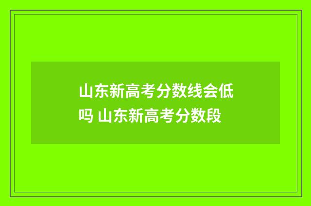 山东新高考分数线会低吗 山东新高考分数段