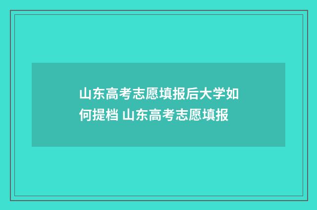 山东高考志愿填报后大学如何提档 山东高考志愿填报