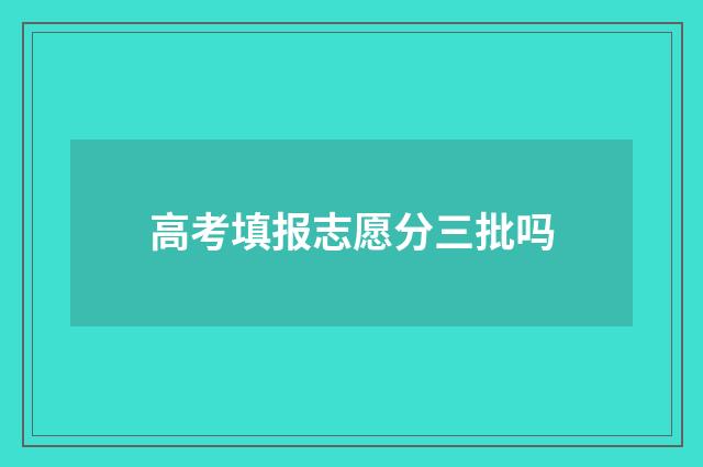 高考填报志愿分三批吗