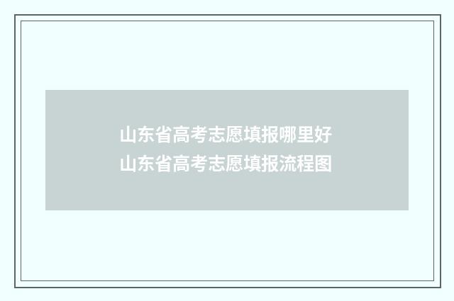 山东省高考志愿填报哪里好 山东省高考志愿填报流程图