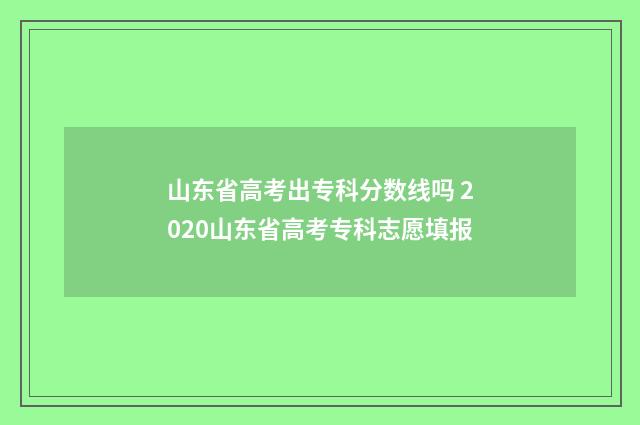 山东省高考出专科分数线吗 2020山东省高考专科志愿填报